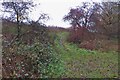 Bridleway to Robinson's Wood in AL4 8ND
