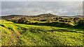 Brat Tor and Arms Tor from the bridle path in EX20 4BA