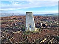 Roundthorn Trig Point, Lady Plantation in CA11 8SB