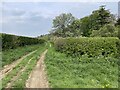 Footpath towards Nutley in RG25 2DY