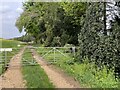 Track towards Warwicks Row Copse in RG25 2DY