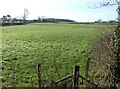 Looking across the fields to Furze Wood in BA3 4UT