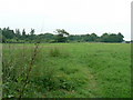 Footpath towards Taylors Farm in RG27 0FD