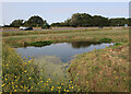 Drainage pond, Ben's Yard in CB7 5TR