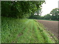 Footpath along edge of field in RG27 0FT