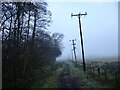 Telegraph poles in the mist, Gargunnock in FK8 3BP