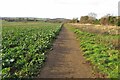 Path by Oughtonhead Lane in SG5 2PZ