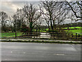 The River Waldon from the A388 Bridge at Heddon Cross in EX22 7QQ