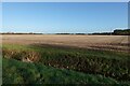 Stubble field by West Fen Road in CB24 5LS