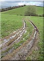 Churned-up bridleway in SY22 5EP