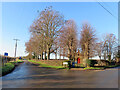 Fowlmere Cemetery and rooks in a winter tree in SG8 7TG