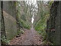 View up the Swannington Incline in LE67 8RA
