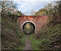Church Lane Bridge crossing the Swannington Incline in Swannington