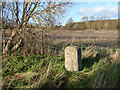 Milestone by the Old Main Road in OX10 0PT