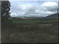 View towards Kincraigie in AB34 4YQ
