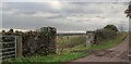 Field Entrance at Gaugers Bush, near Tyninghame in EH42 1XR