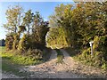 Footpath passing Pelican Wood in RG25 2LB