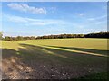 Farmland on the Hackwood Estate in RG25 2LB