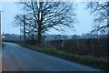Old London Road, Woodham Walter in CM3 4RJ