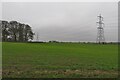 Farmland with pylons in SG6 2AJ