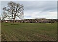Farmland along Redhill Lane in LE67 5AX
