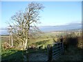 View across farmland from The Diffrick in Lanarkshire