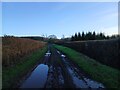 Bridleway towards Acre of Oaks in SN11 8SA