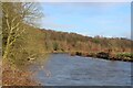 River Ribble below Melling's Wood in PR2 5AU