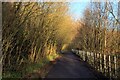 Ribble Way in Melling's Wood in PR2 5AU
