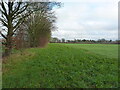Fields between Little Heath and Dunston Heath in ST18 9AQ