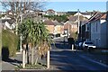 Traffic calming palm tree in BH14 9DL