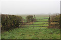 Field gate off Carlton Ferry Lane in NG23 6LP