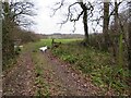 Footpath into a field near Fordingbridge in SP6 3HR