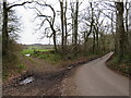 Lane and footpath near Fordingbridge in SP6 3HR