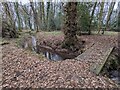 Footpath bridge crossing drain in woodland in ST19 5RW