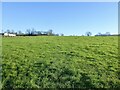 Five Acre Field in TN33 9EY