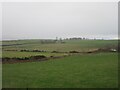 Fields near South Coldstream in AB31 5EL