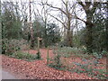 Footpath through woodland near Fordingbridge in SP6 3DB
