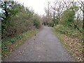 Path around South Pond, Longton Brickcroft in PR4 4SR