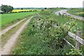Footpath alongside the A511 Ashby bypass in Ashby Money Hill Ward