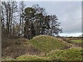 Motte near Cwmmau Farm in HR3 6JP