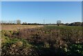 Fields by Saint Benets Road in NR29 5NU