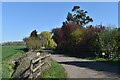 Farm track and public footpath to Wardspring Farm in IP17 1NG