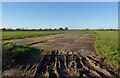 Concrete pad, Ludham Airfield in NR29 5FA