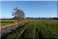 Ludham and Potter Heigham Marshes NNR in NR29 5PT