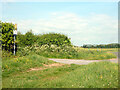 Start of lane to North Farm and Limekiln Cottage in PO8 0RZ