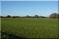 Fields by Church Lane in NR29 5LR