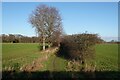 Bridleway towards Hickling Broad in NR29 5LN