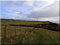 New fencing and path dodging an eroded section on the England Coastal Path in LA18 4NY