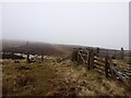 Stile/Gate on Wester Tor in Kirknewton